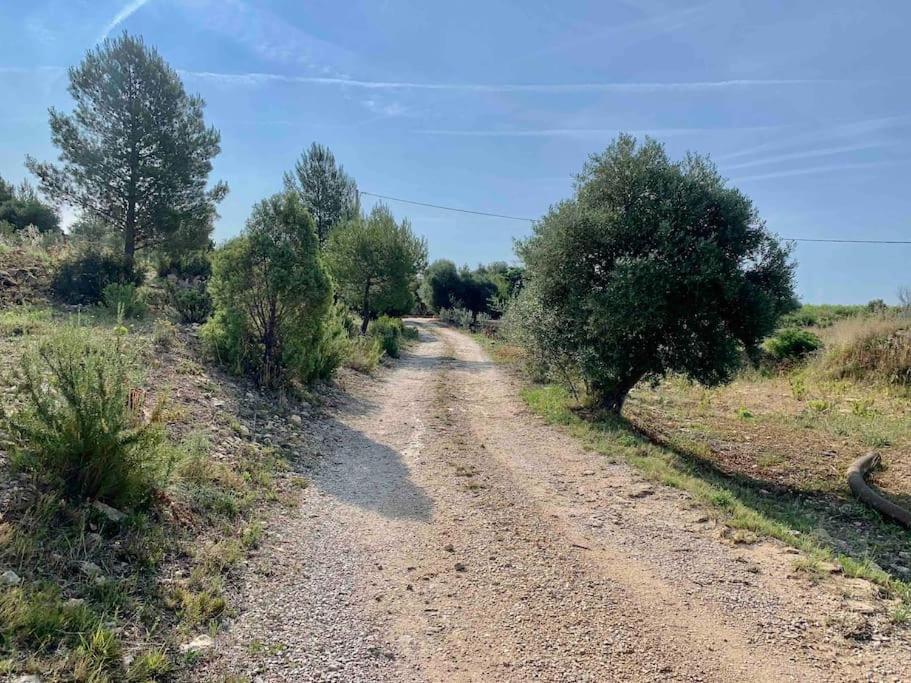 Maison Pipette Pipette Maison Le Castellet  Dış mekan fotoğraf