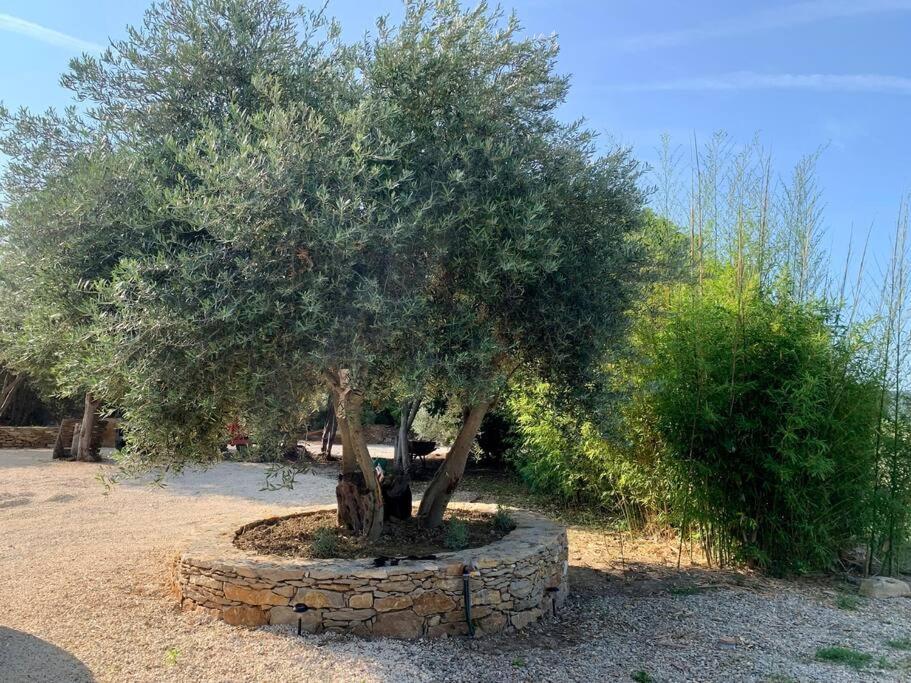 Maison Pipette Pipette Maison Le Castellet  Dış mekan fotoğraf
