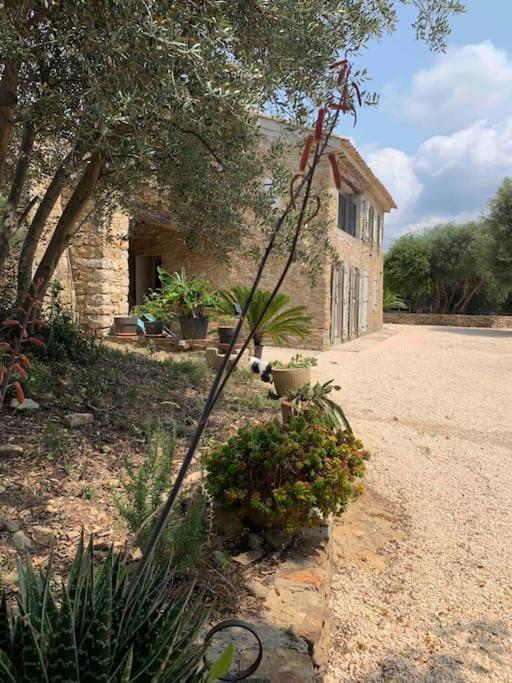 Maison Pipette Pipette Maison Le Castellet  Dış mekan fotoğraf