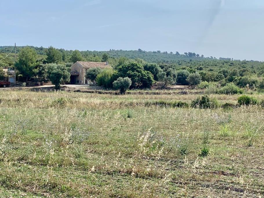 Maison Pipette Pipette Maison Le Castellet  Dış mekan fotoğraf