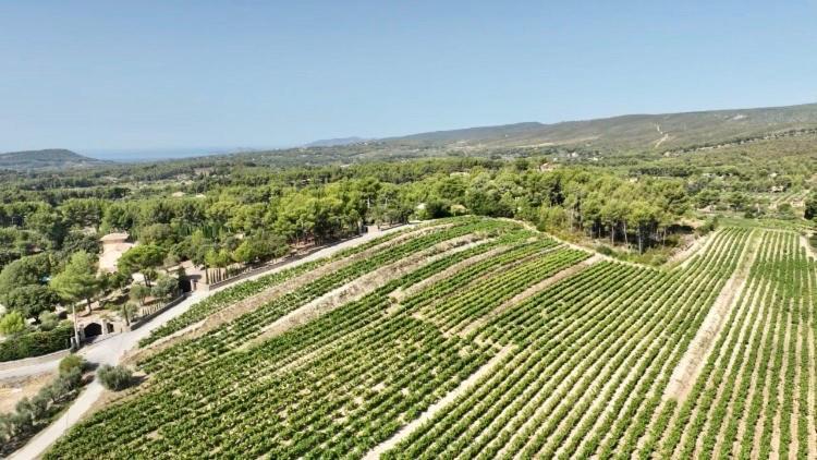 Maison Pipette Pipette Maison Le Castellet  Dış mekan fotoğraf